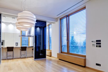 modern oturma odası