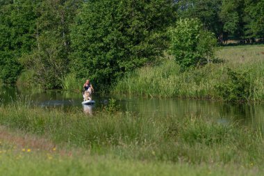 Güneş yanığı tenli, tişörtlü, tabağında bikini olan bir kadın. Küreğin üzerinde iki Avustralya çoban köpeği ile birlikte. Hayvan temaları, spor ve rahatlama.