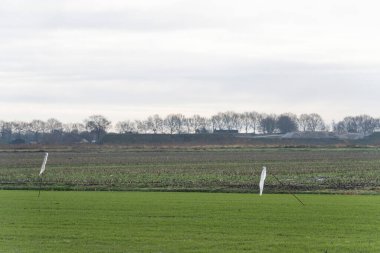 Çimenli bir tarlanın ortasında iki beyaz plastik korkuluk, otlak, arka planda ağaçlar var. Çiftçiler ve bahçıvanlar.