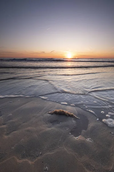 长期暴露在大海中 夕阳西下 贝壳在沙滩上 摘要综述 — 图库照片