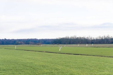 Bir grup beyaz plastik korkuluk otlak bir tarlanın ortasında, çayırda, ağaçlardan oluşan bir arka planda. Çiftçiler ve bahçıvanlar.
