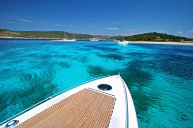 tropikal cruise