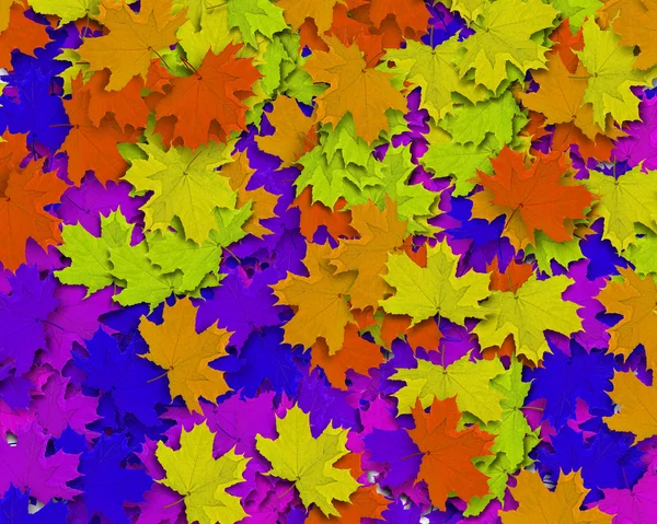Mehrfarbiger Herbsthintergrund — Stockfoto