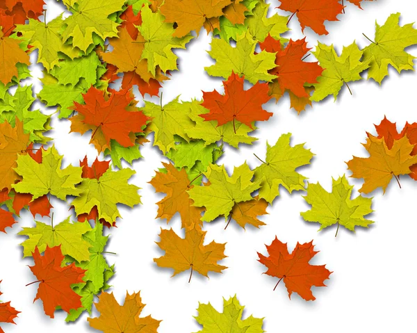 Herbst-Hintergrund — Stockfoto