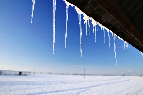 Winter ijspegels — Stockfoto