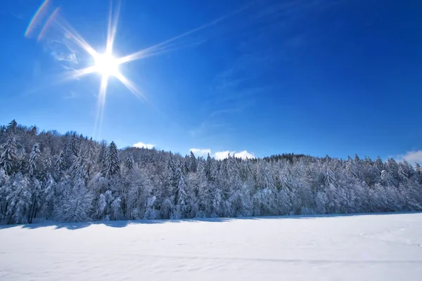 Soliga snö landskap — Stockfoto