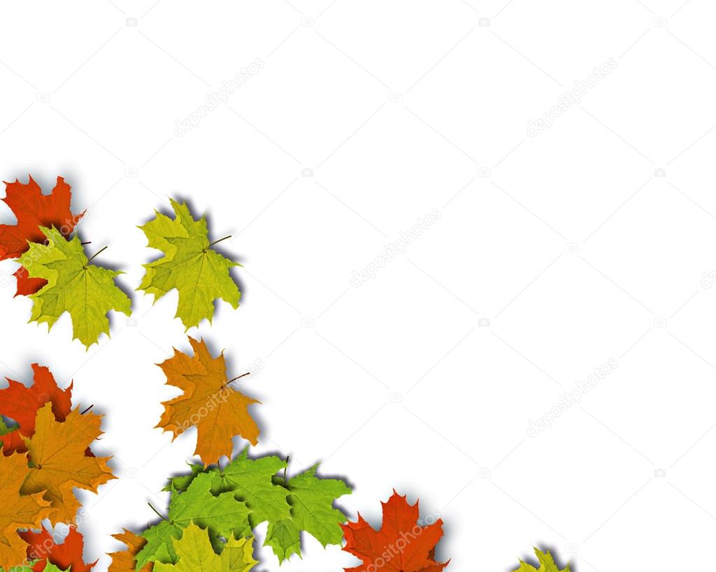 Autum Background