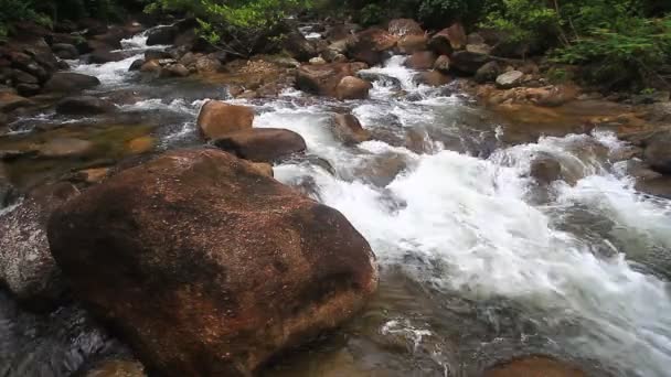 Corriente de montaña — Vídeo de stock