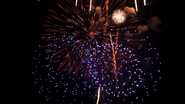 Fuochi artificiali — Video Stock