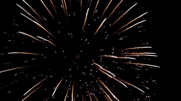 Fuochi artificiali — Video Stock