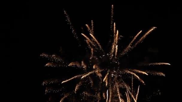 Fuochi artificiali — Video Stock