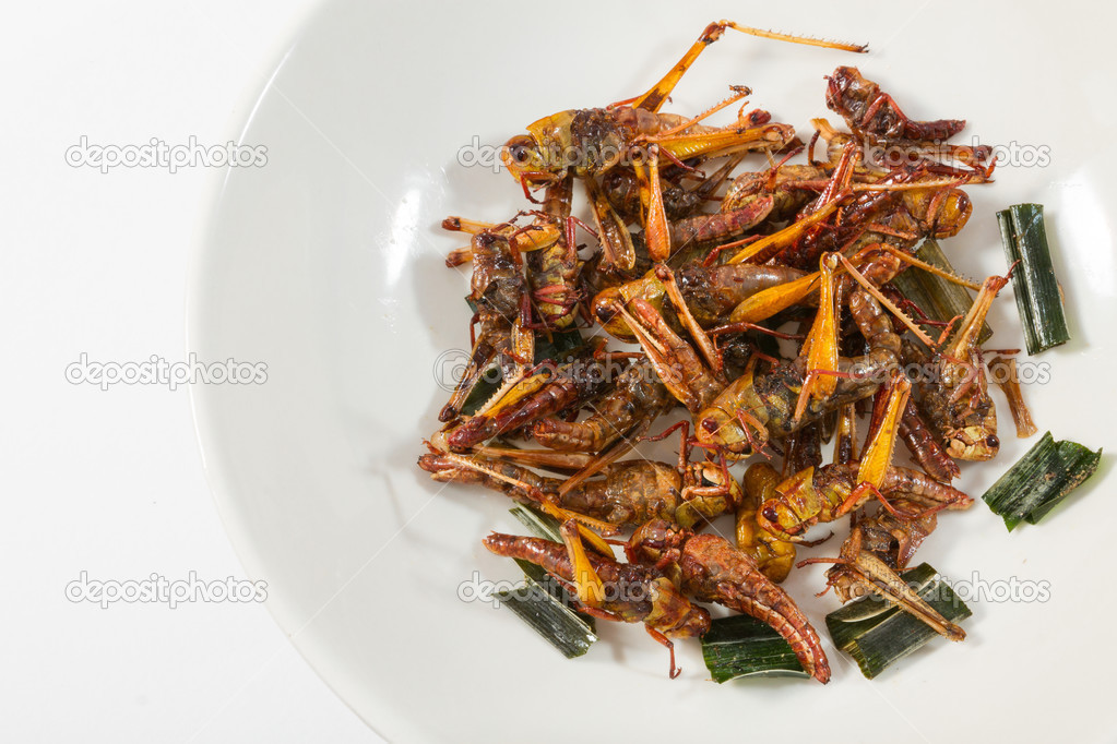 Fried insects.