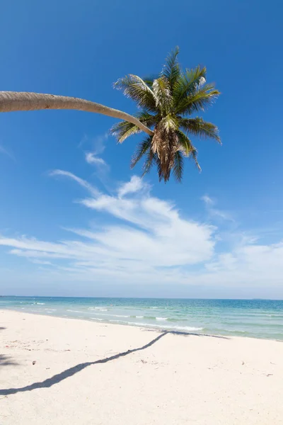 Beautiful Natural Scenery Beach Coconut Palms Blue Sky — Stock Photo, Image