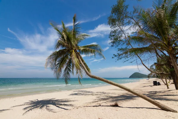 Prachtige Natuur Met Strand Kokospalmen Blauwe Lucht — Stockfoto