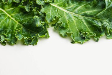 Beyaz arka planda lahana yapraklarını kapatın. metin için boşluk kopyala