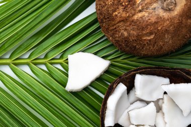 Hindistan cevizi eti ve hindistan cevizi yaprağı beyaz masada..