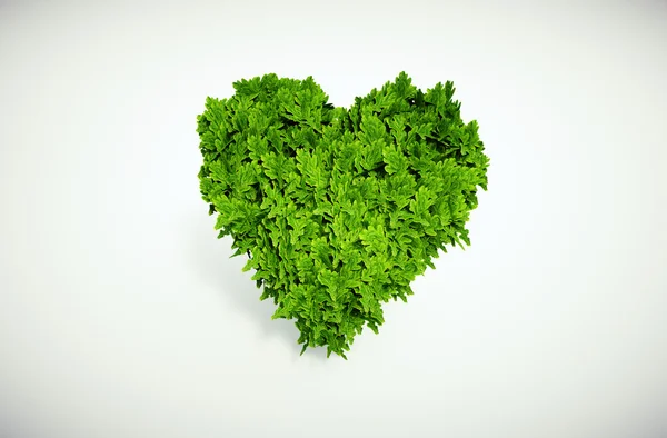 Eco hjärta — Stockfoto