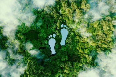A lake in the shape of human footprints in the middle of a lush forest as a metaphor for the impact of human activity on the landscape and nature in general. 3d rendering. clipart