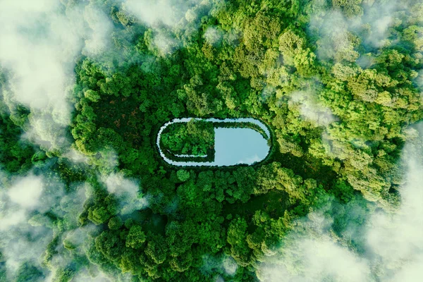 Eine Tablettenförmige Wasseroberfläche Inmitten Üppiger Natur Die Als Metapher Für — Stockfoto