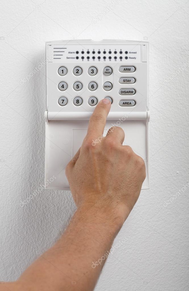 Security System Keypad And Hand