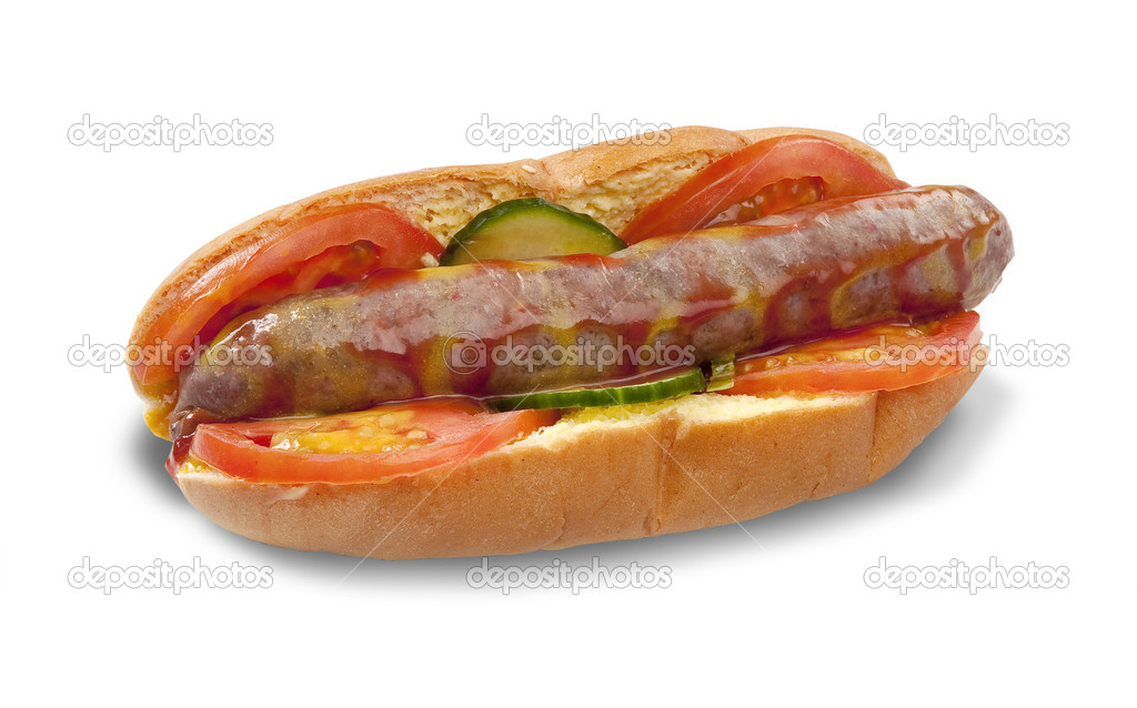Boerewors Roll Isolated