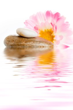 Zen spa taşlar