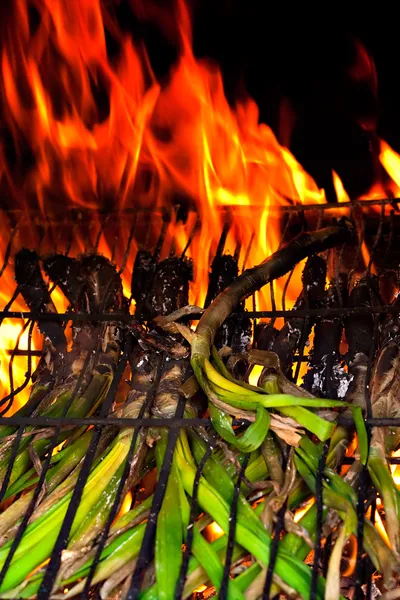 Sladká cibule bbq — Stock fotografie