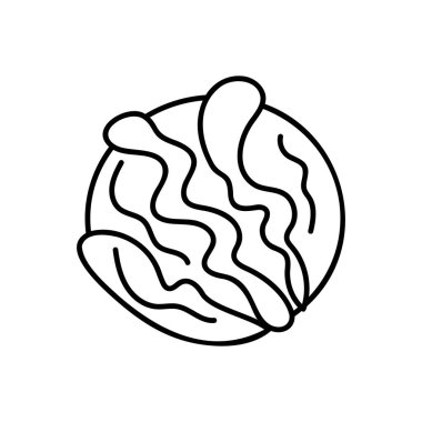 lahana simgesi, sebze ikonu vektör illüstrasyonu