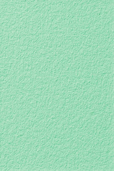 Rough Green Paper Texture Digital Wallpaper — Stock Photo, Image