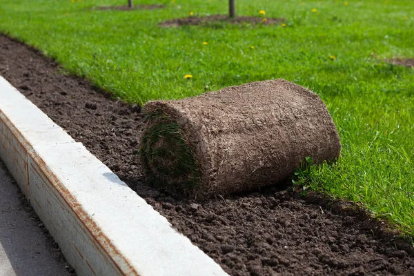 Peyzaj düzenleme, çim biçme ya da parkta bir tomar yeşillik. Kaldırımda dar şeritler var. Bahçıvanlık. 