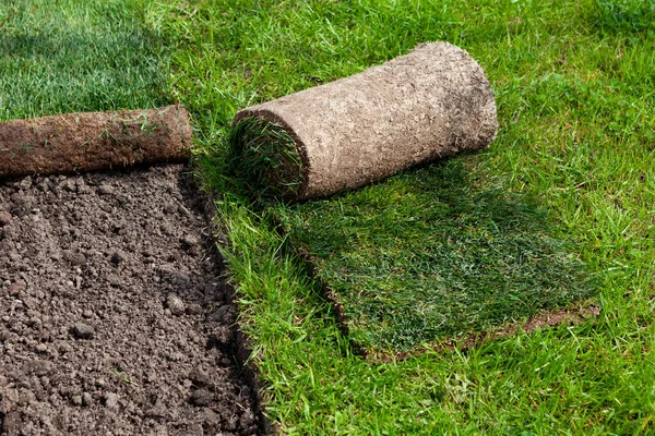 Restoration Lawn Covering Help Rolled Lawn Real Grass Peat Rolls — Stock Photo, Image
