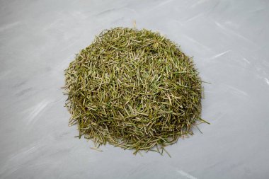 Konsept - Noel 'den sonra temizlik. Doğal bir Noel ağacından düşen kuru iğneler..