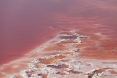 Tuzlu pembe gölün dibindeki ayak izleri. Terapi çamuru, alternatif tıp.