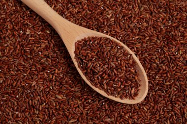 Tahta kaşıkta kırmızı tanelerin üzerinde duran GABA pirinci. Kahverengi pirinç filizlenir..