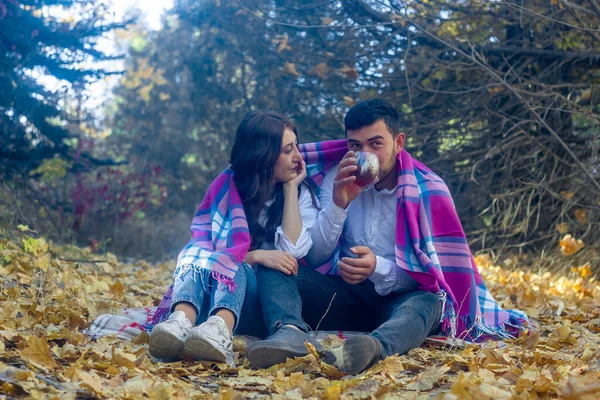 Молодая Романтическая Пара Осеннем Парке Пара Саду — стоковое фото