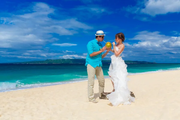 Bride and groom drink coconut water on a tropical beach — Stock Photo, Image