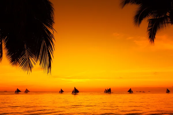 帆船在日落时在热带海洋上。棕榈树在沙滩上。Silho — 图库照片