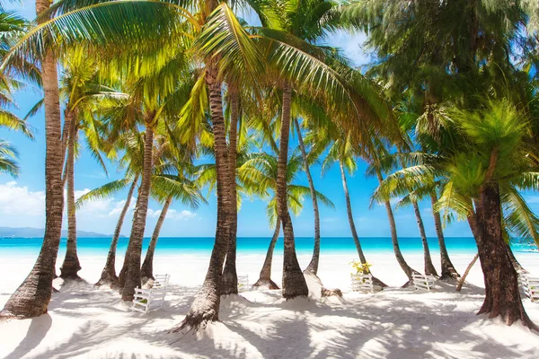 Tropické písčité pláže s palmami, letní prázdniny — Stock fotografie