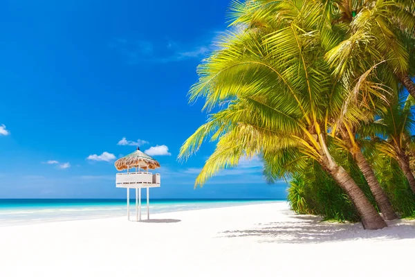 Escena de sueños. Hermosa palmera sobre la playa de arena blanca. Verano n —  Fotos de Stock
