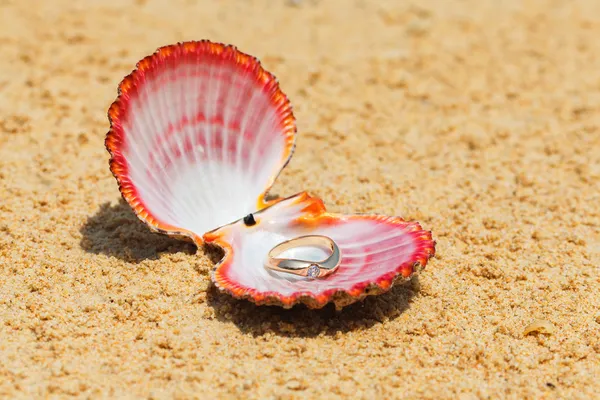 Propuesta de matrimonio. Anillo de compromiso en conchas en la arena en t —  Fotos de Stock