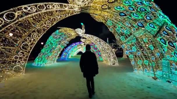 Notte Inverno Mosca Nella Neve Street Decorato Nuovo Anno Mosca — Video Stock