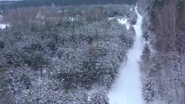 从无人驾驶飞机上俯瞰着覆盖着积雪的冬季松树林。覆盖着霜冻的松枝. — 图库视频影像
