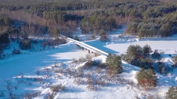 Luchtfoto Van Drone Besneeuwd Winterbos Landschap Winter Rusland Hoge Kwaliteit — Stockvideo