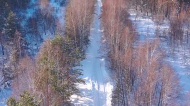 Karlı kış ormanı kırsalındaki drone 'dan hava görüntüsü. Kış Rusya. Yüksek kalite 4k görüntü
