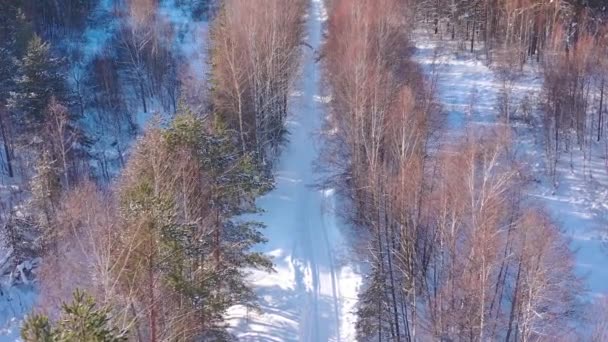 Vista Aérea Desde Dron Campiña Nevada Del Bosque Invernal Invierno — Vídeos de Stock