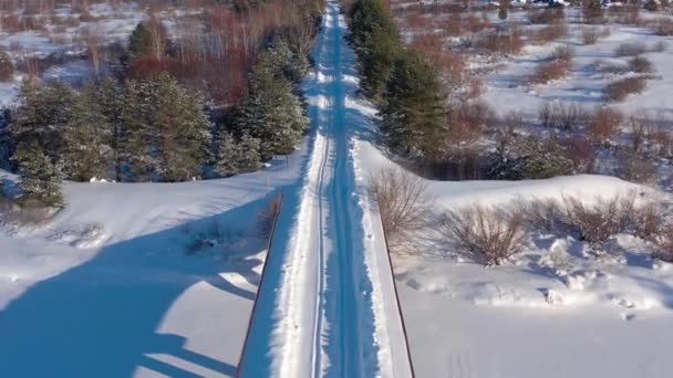 Vista Aérea Drone Campo Floresta Inverno Nevado Inverno Rússia Imagens — Vídeo de Stock