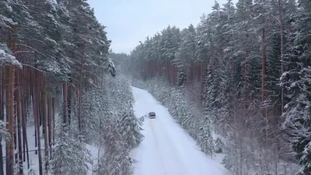 Αεροφωτογραφία Από Drone Αυτοκίνητο Οδήγηση Μέσω Χειμώνα Χιόνι Καλυμμένο Δάσος — Αρχείο Βίντεο