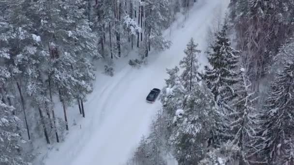 Αεροφωτογραφία Από Drone Αυτοκίνητο Οδήγηση Μέσω Χειμώνα Χιόνι Καλυμμένο Δάσος — Αρχείο Βίντεο