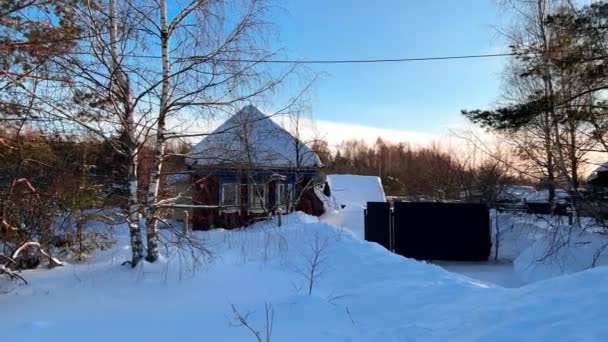 Snowy Winterbos Platteland Houten Boomstammen Huizen Russische Dorp Bedekt Sneeuw — Stockvideo