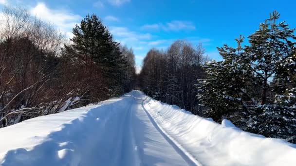 Vista Aérea Drone Floresta Pinheiros Inverno Coberta Neve Ramos Pinheiro — Vídeo de Stock